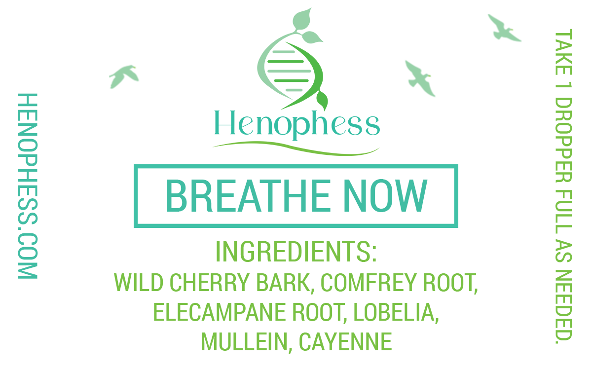 Breathe Now