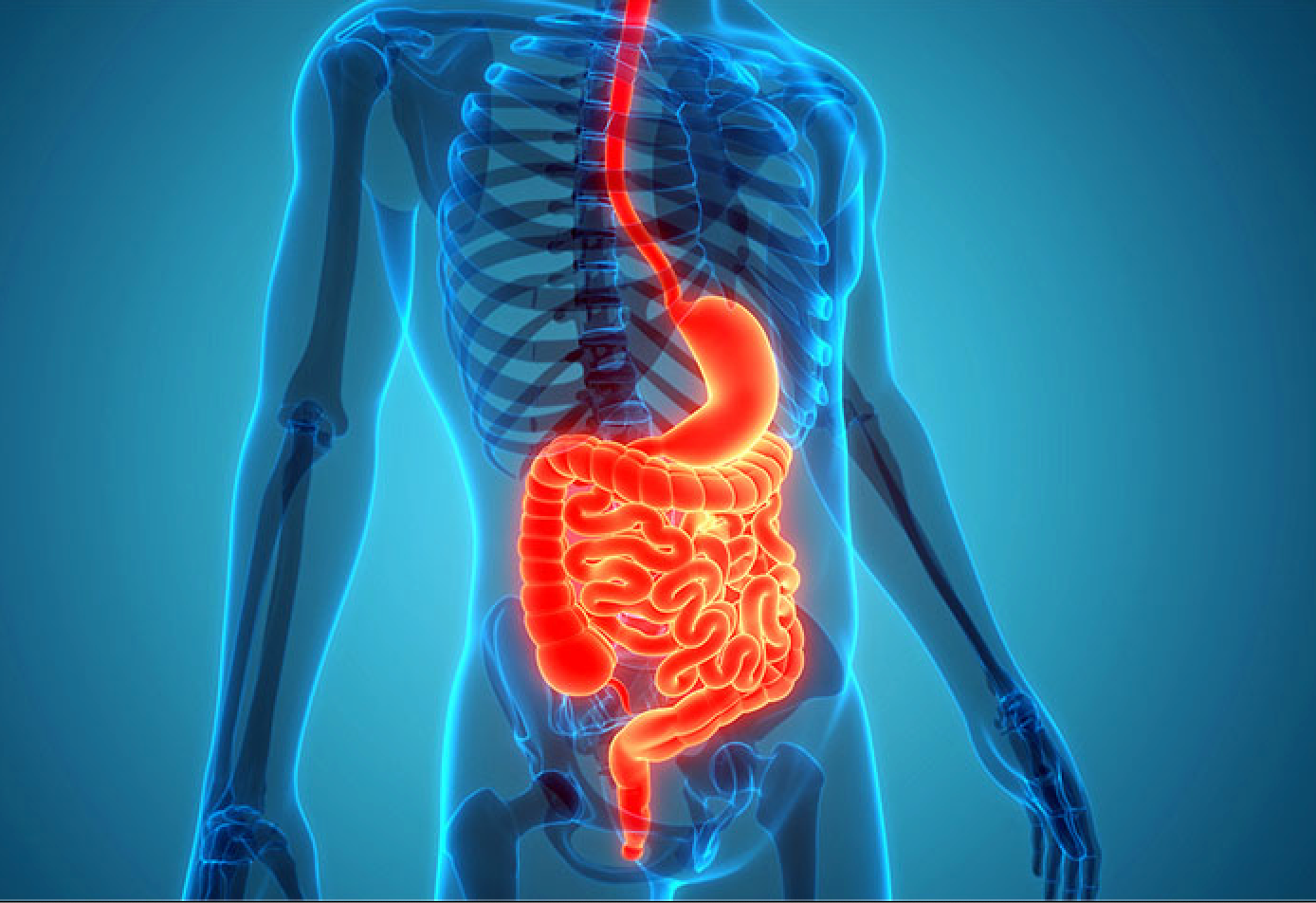 Digestive Health